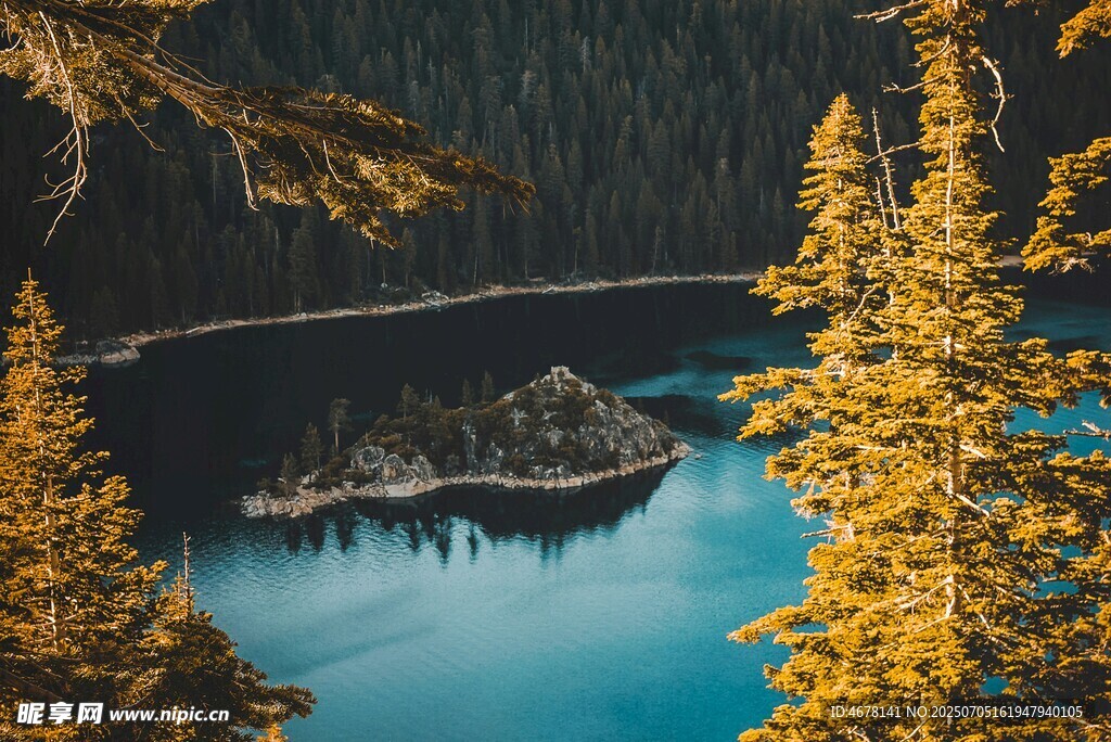 湖畔松林美景