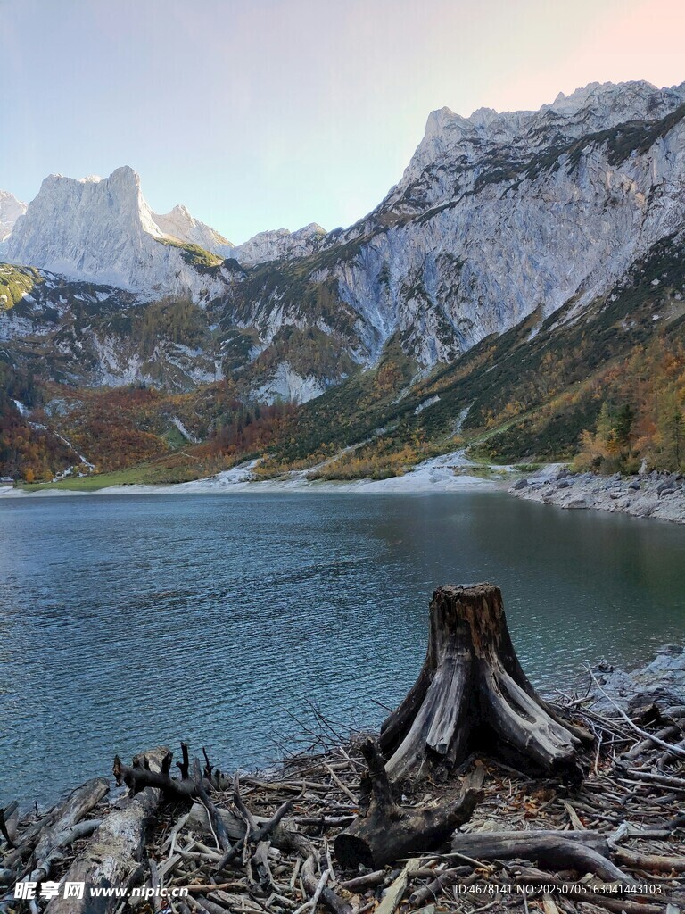 湖畔枯木与壮丽山峦美景