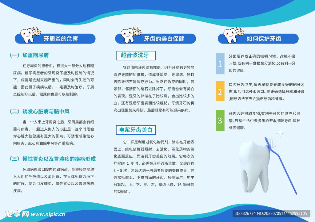 牙齿护理知识介绍三折页