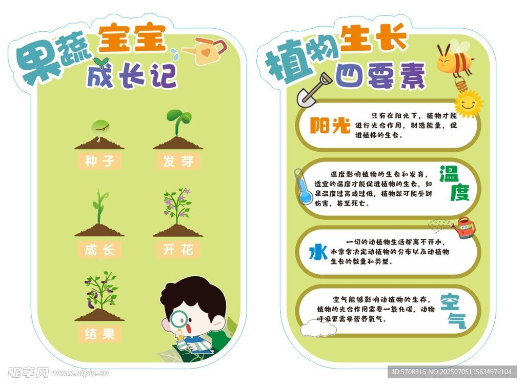 果蔬宝宝 成长记