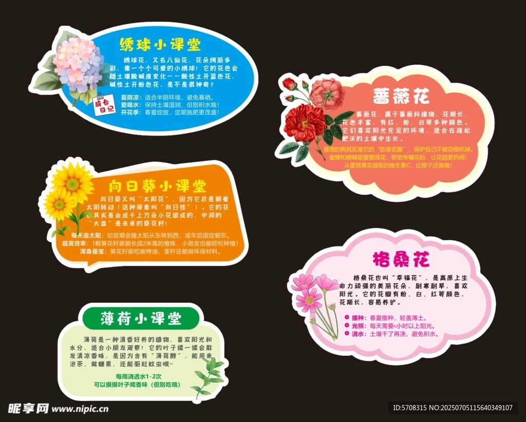 花草牌
