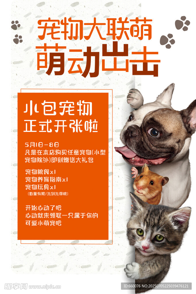 宠物大联萌萌动出击