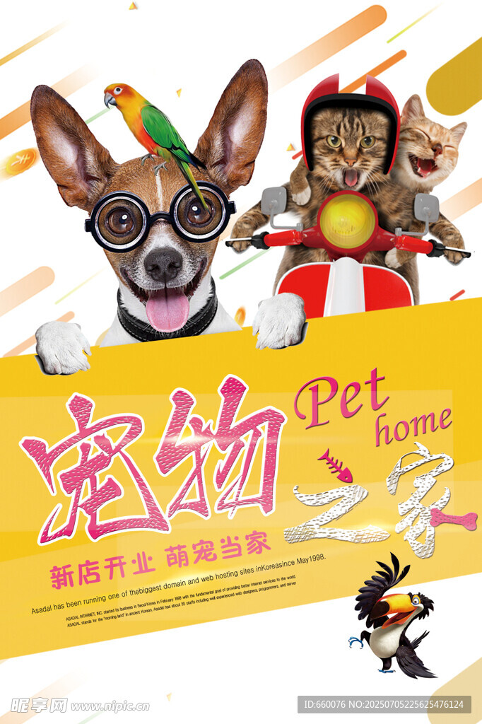 宠物才艺秀海报
