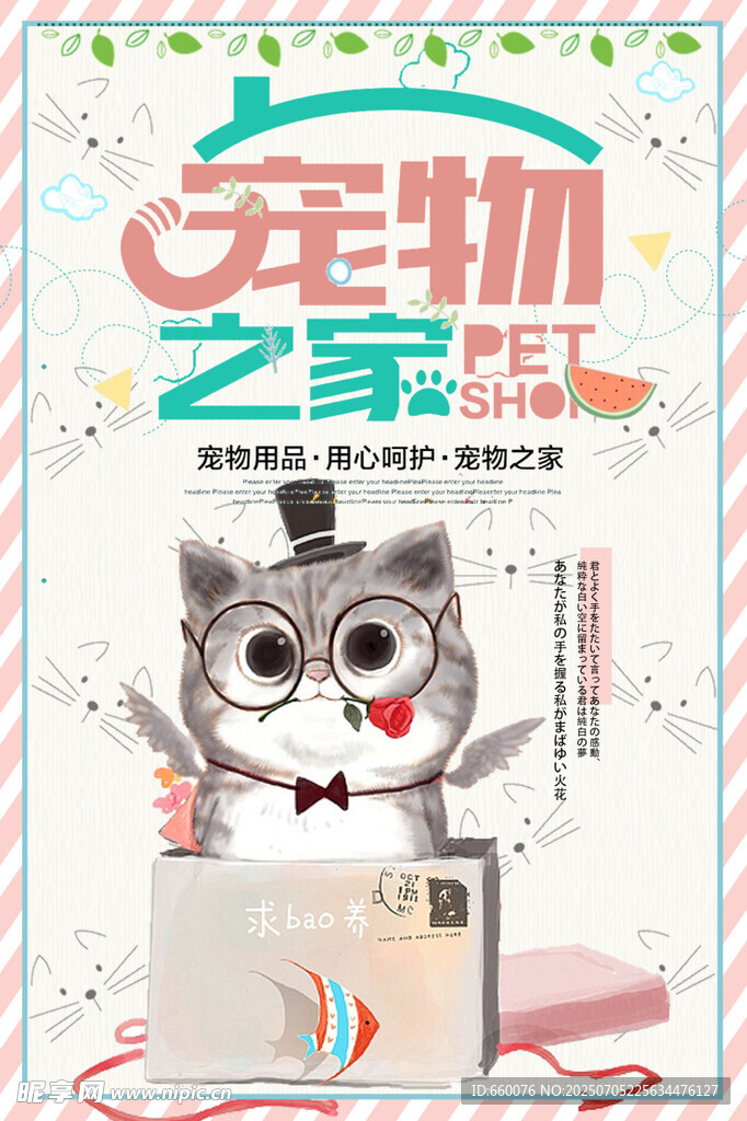 宠物之家萌宠欢乐时刻