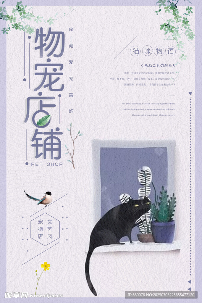 黑猫于宠物店铺窗边眺望