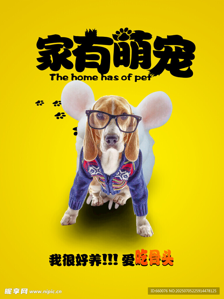 可爱仓鼠扮装萌趣瞬间