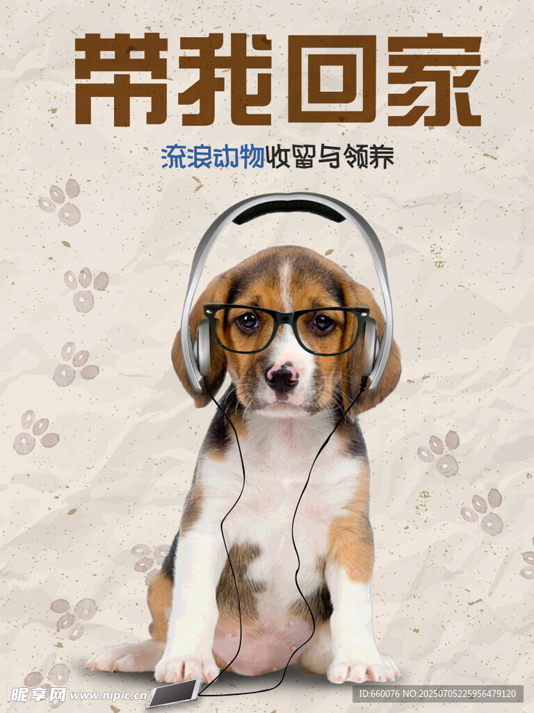 戴耳机的萌小狗求领养