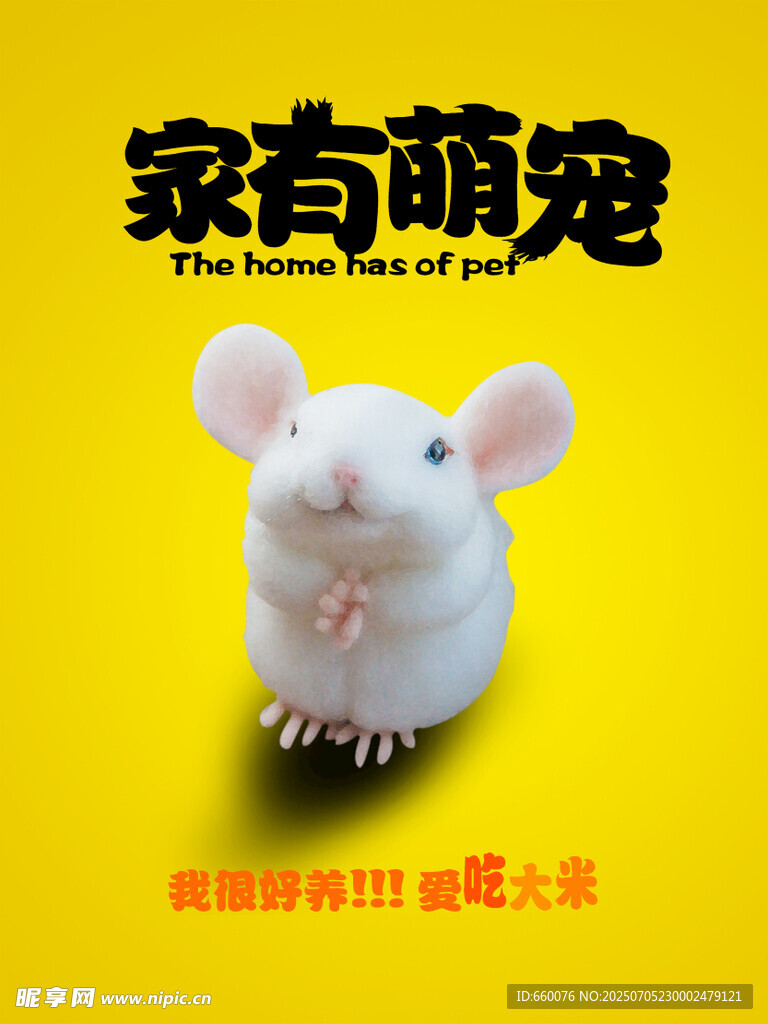 可爱家鼠萌宠来袭