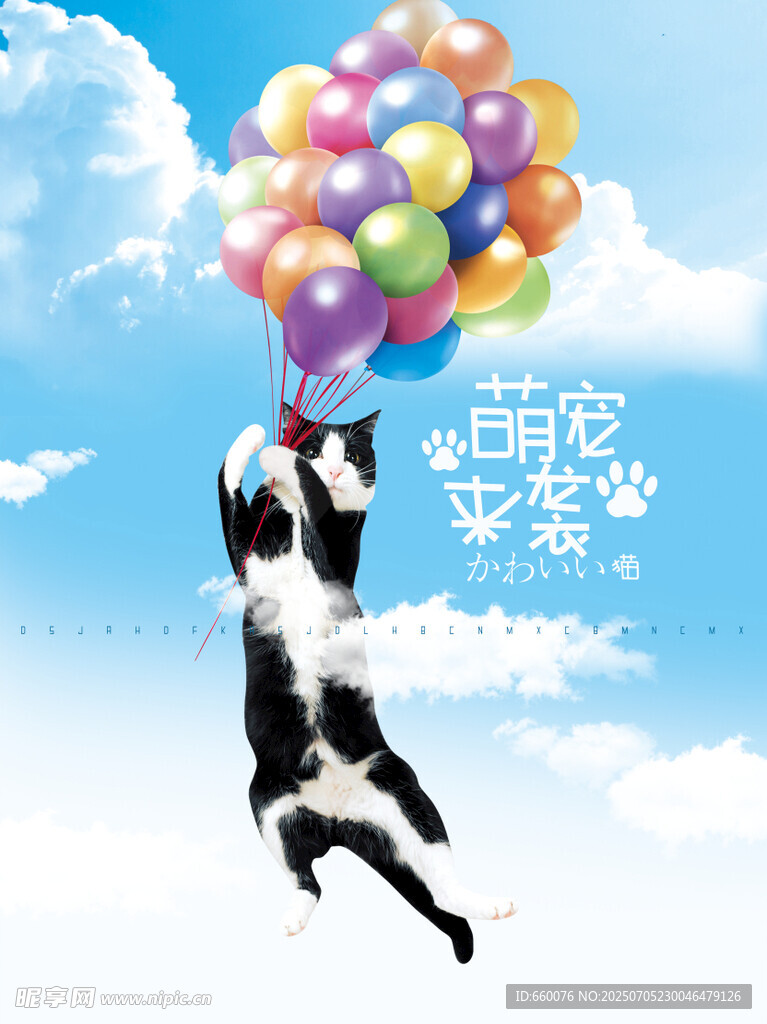 猫咪抓气球欢乐瞬间