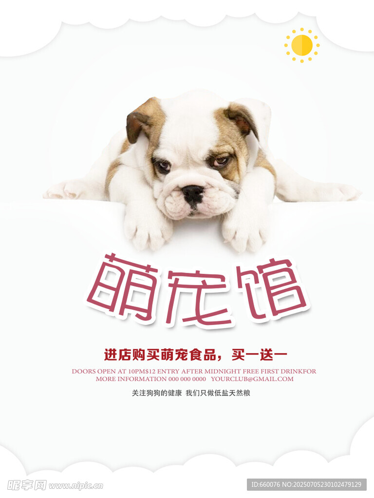萌宠馆可爱小狗展示