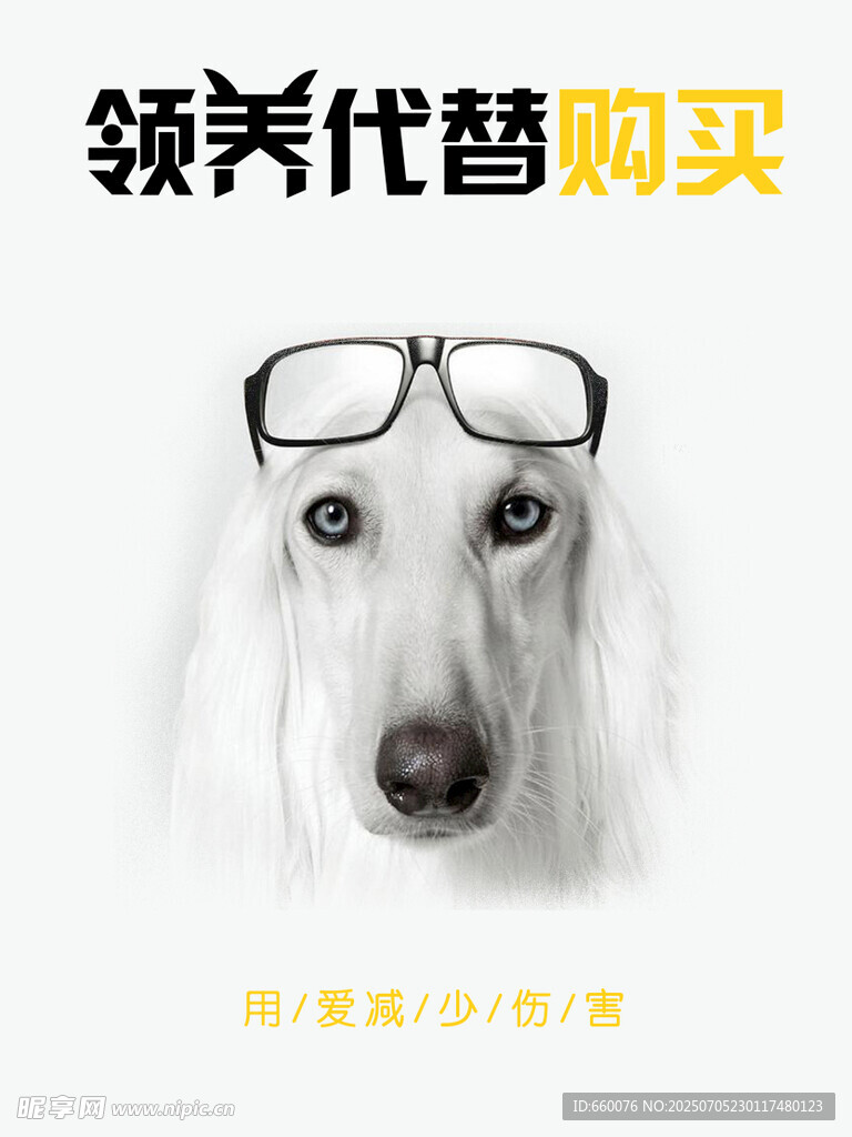 领养代替购买的狗狗