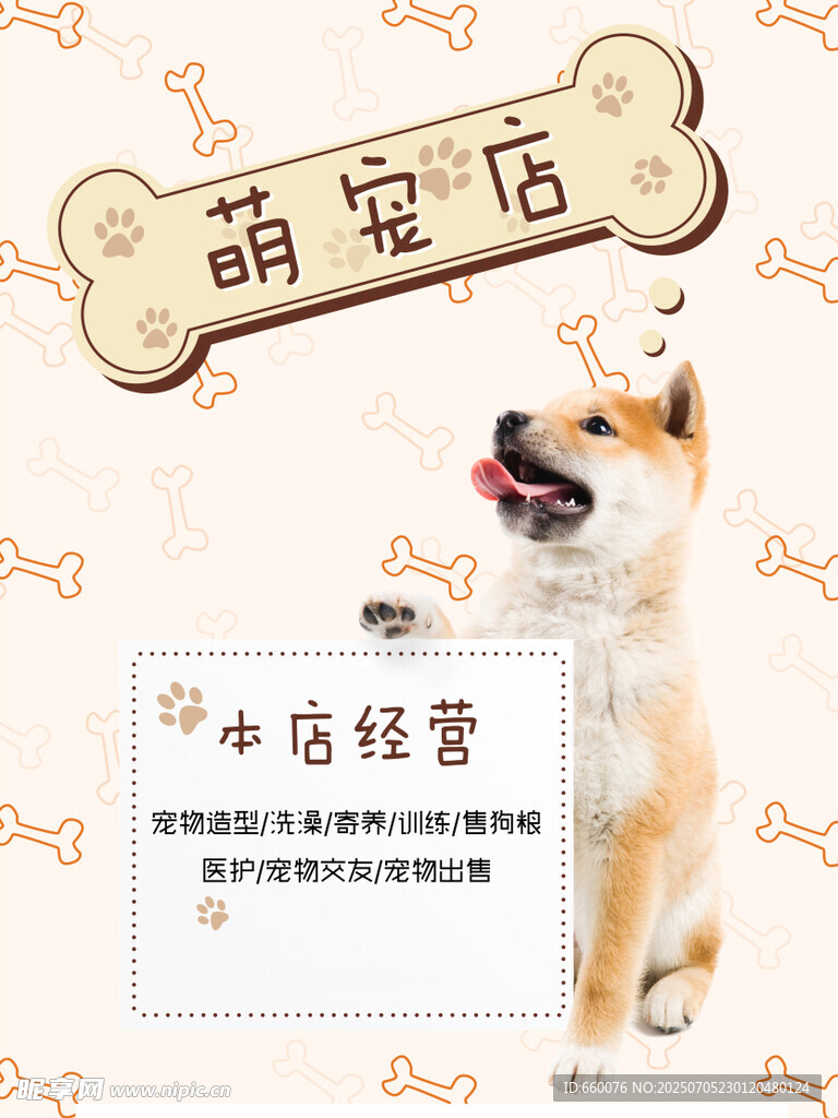 萌宠店小柴犬可爱展示