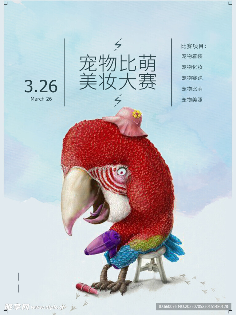 宠物鹦鹉美妆大赛画面