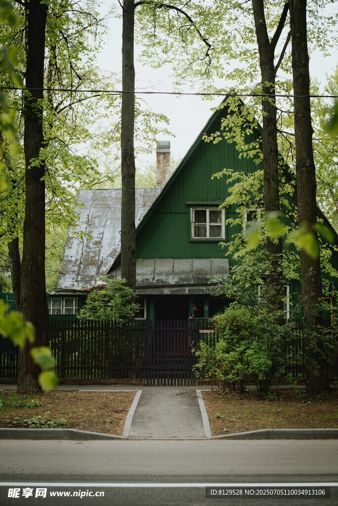 森林中的绿色小屋