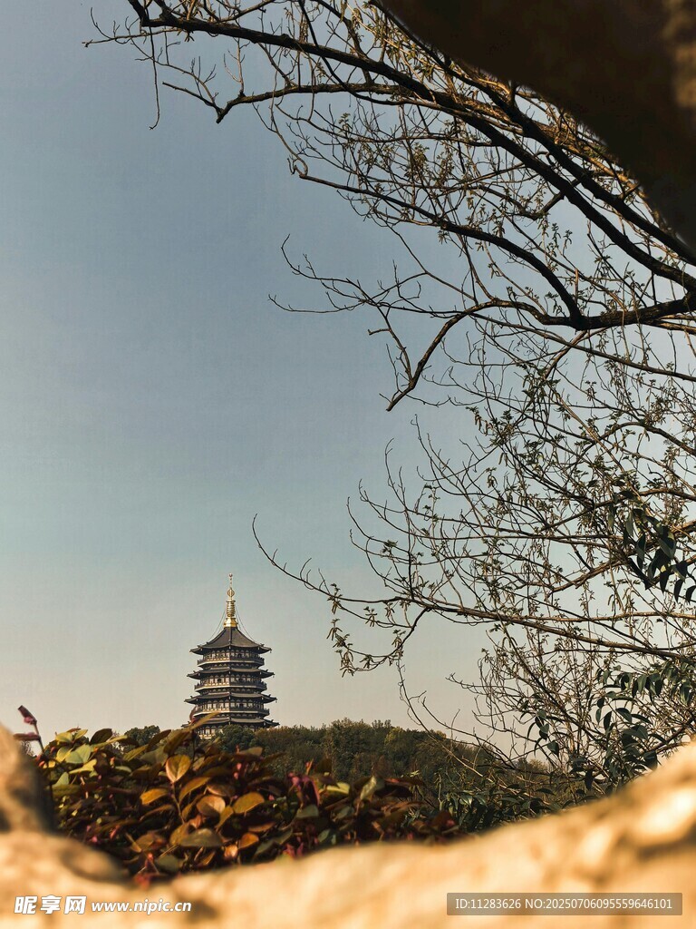 透过枝叶望远处古塔