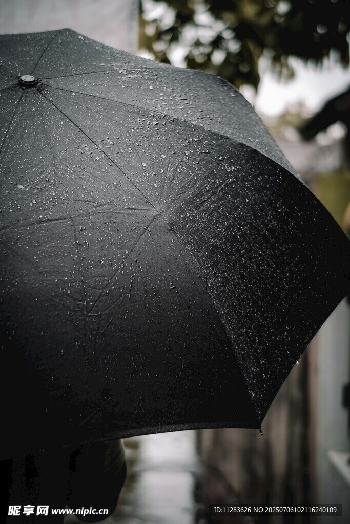 雨中黑伞