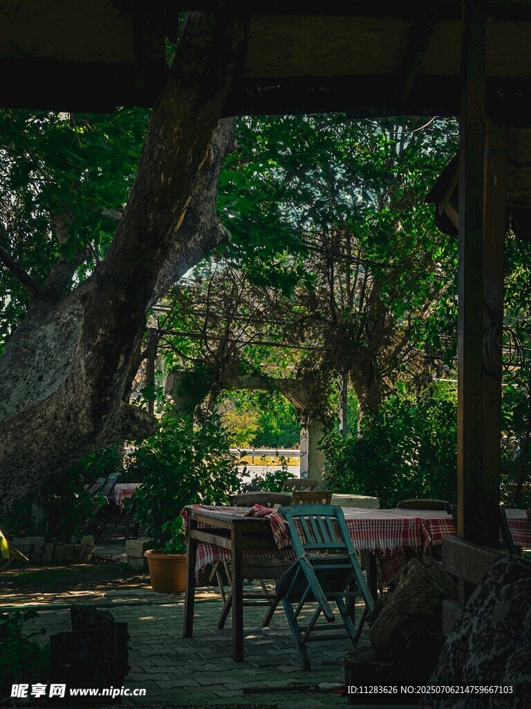 户外绿荫下的休闲桌椅场景