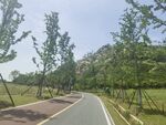 山间小道