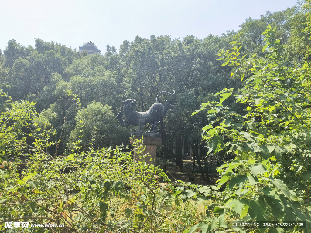 东湖磨山