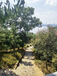 东湖磨山 林间小道
