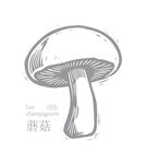 手绘蘑菇插画
