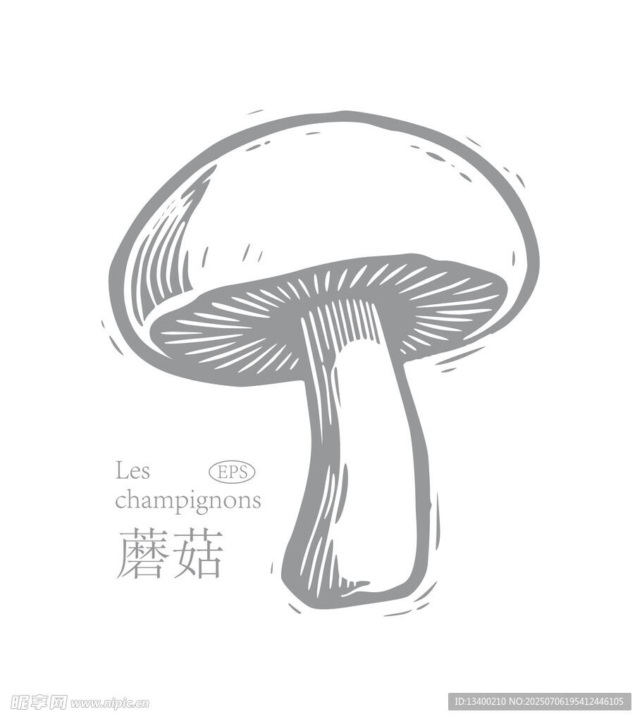 手绘蘑菇插画