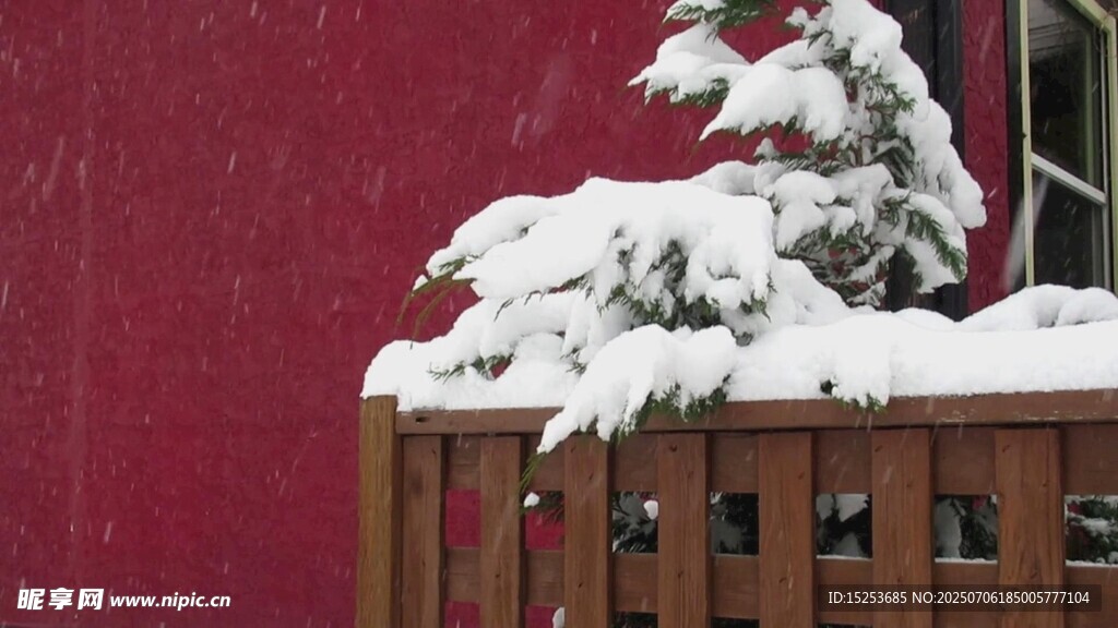 雪覆红墙树梢景