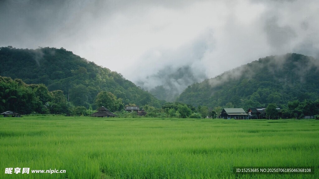 绿野青山间的云雾田园