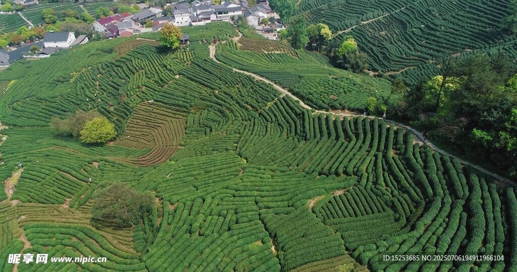 航拍山间层层叠叠的梯田