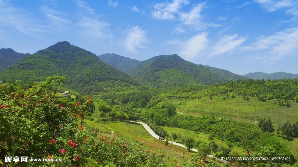 山间绿野美景
