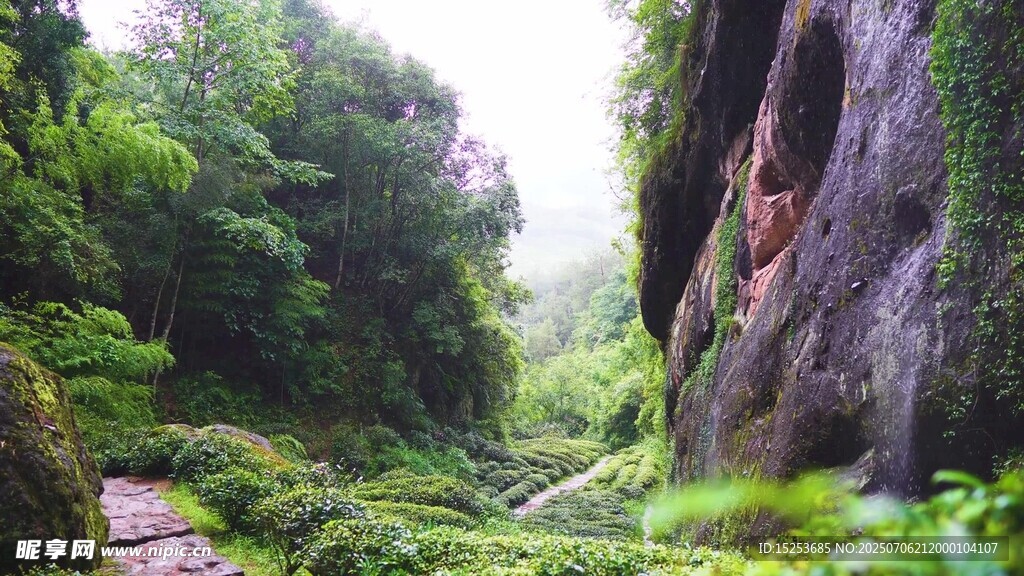 山间绿意盎然的自然景致