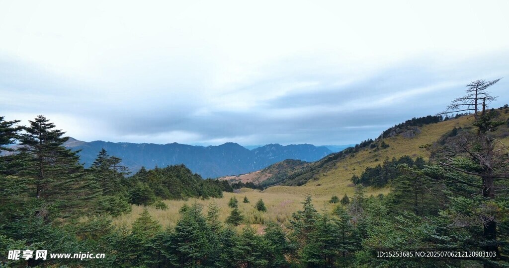 山间美景绿意盎然的风光