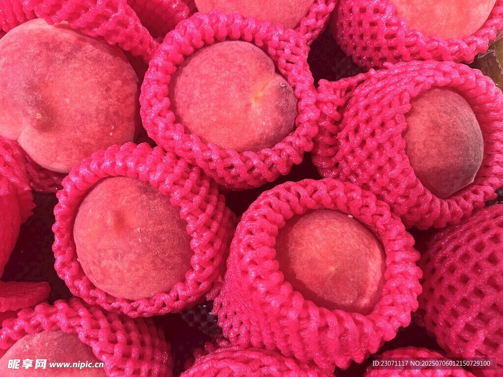 桃子