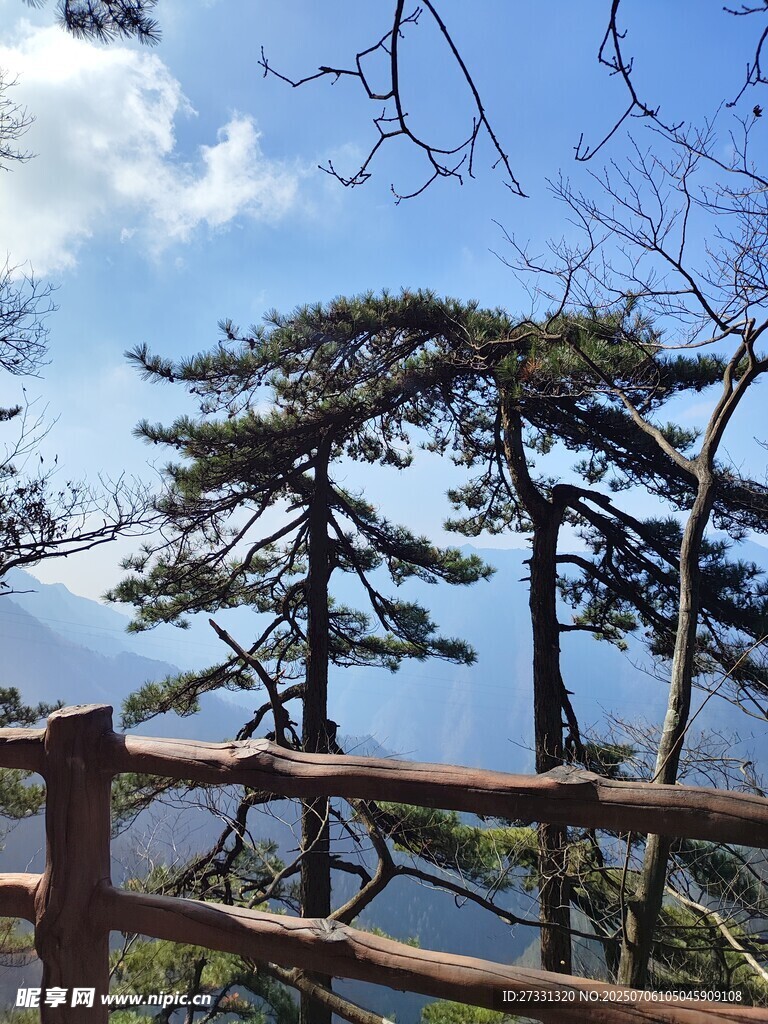 山间松景木栏相伴赏风光