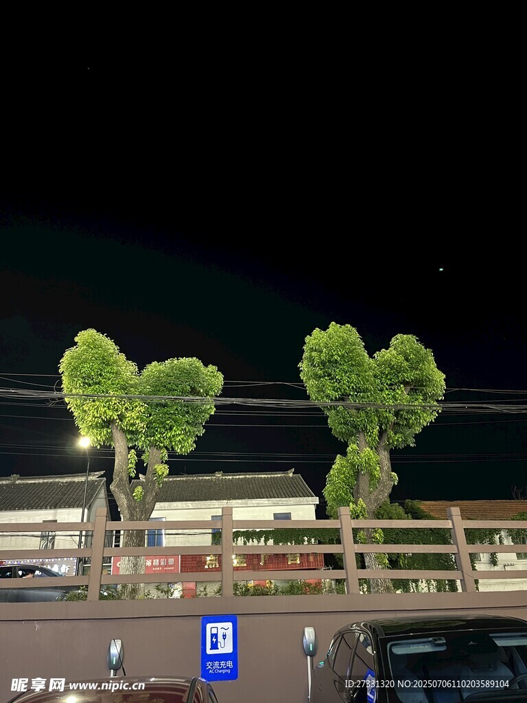 心形绿植夜景