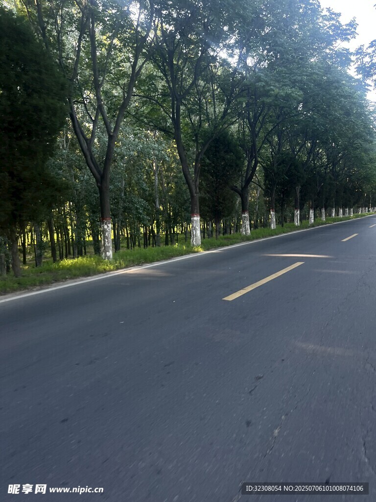 林荫大道 
