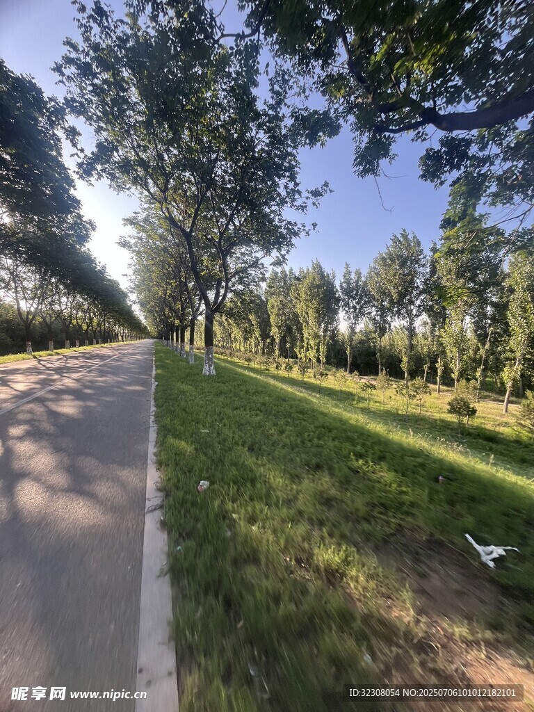 林间小道 