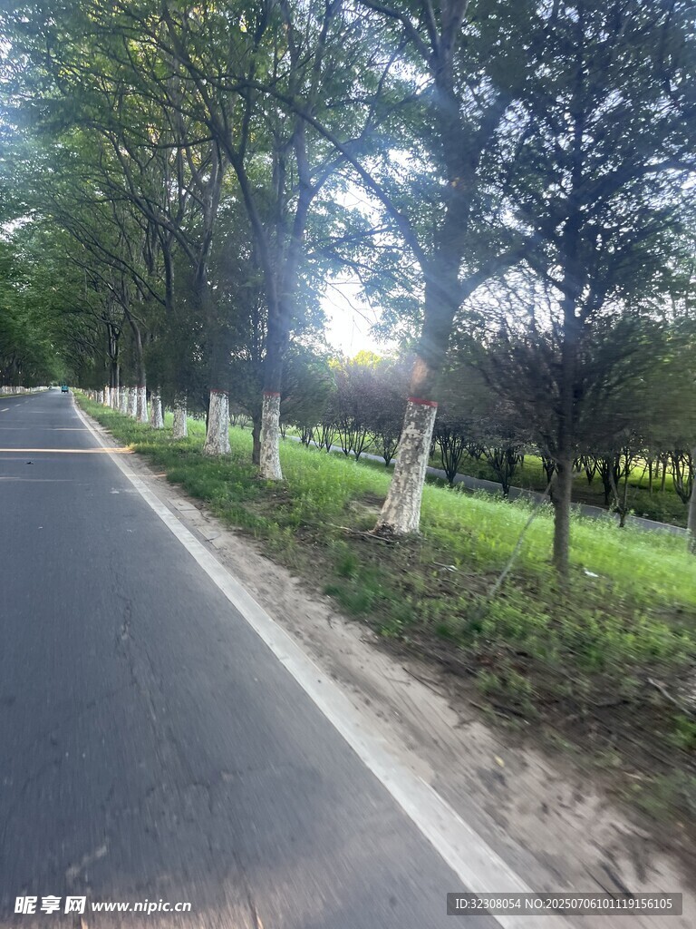 林间公路 