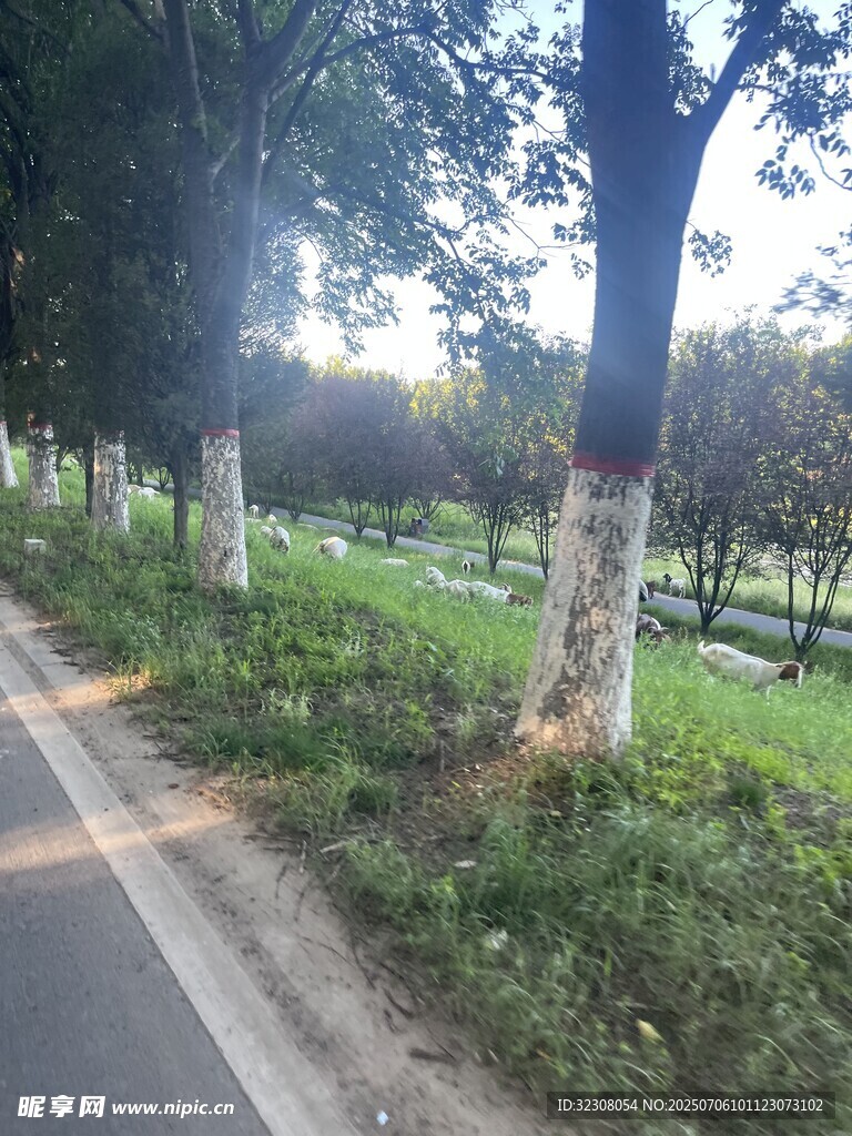 林间小路 