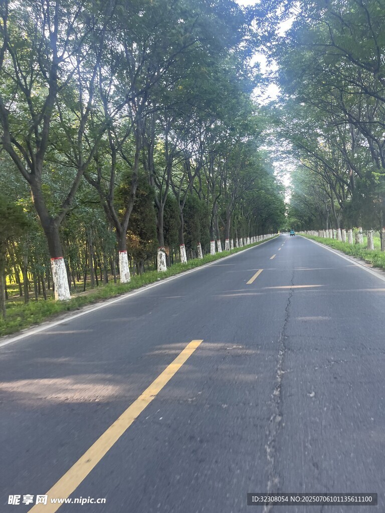 林荫大道 