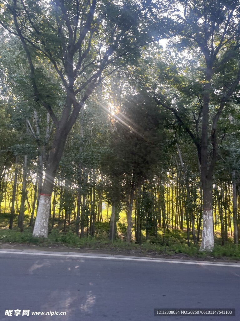 林间公路 
