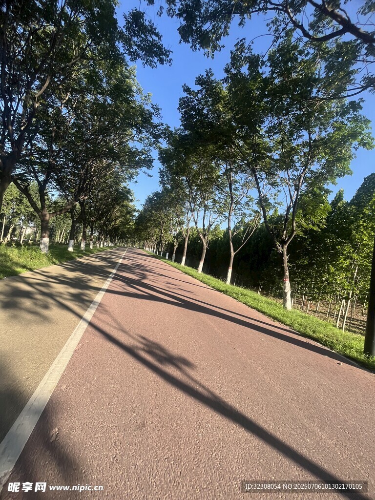 林间红道 