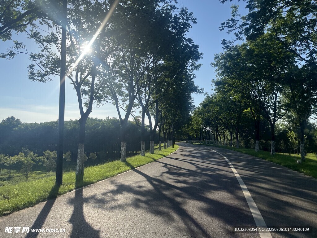 阳光洒落的林间骑行小路