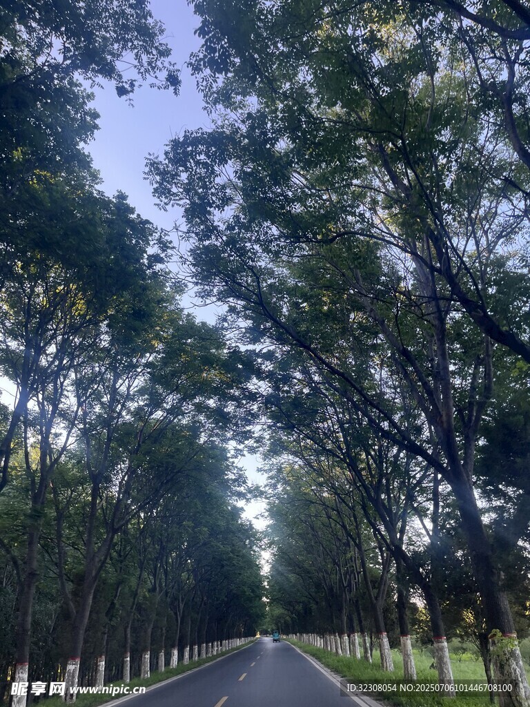 林间公路 