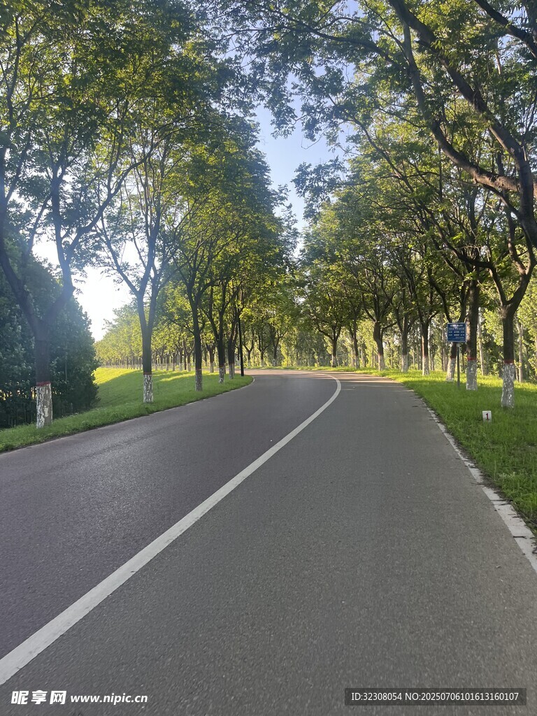 林间静谧骑行道