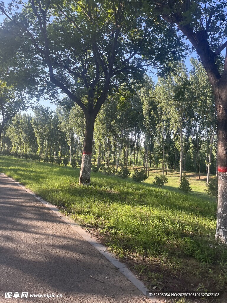 林间幽静小路 