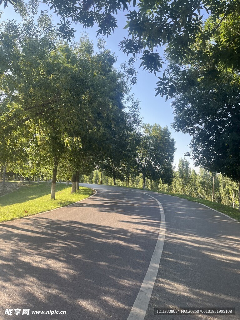 林间蜿蜒的静谧骑行道路