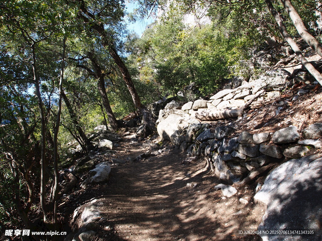 山间小径穿行于树林岩石间