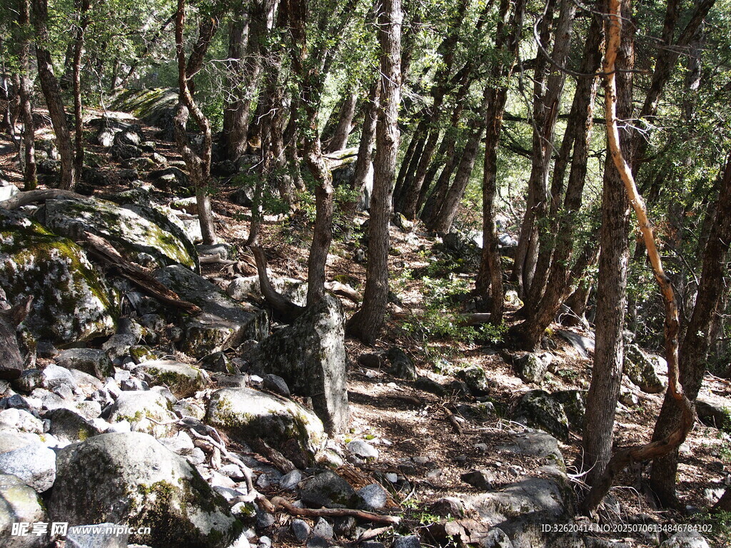 山林间的崎岖小径