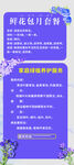 鲜花包月海报